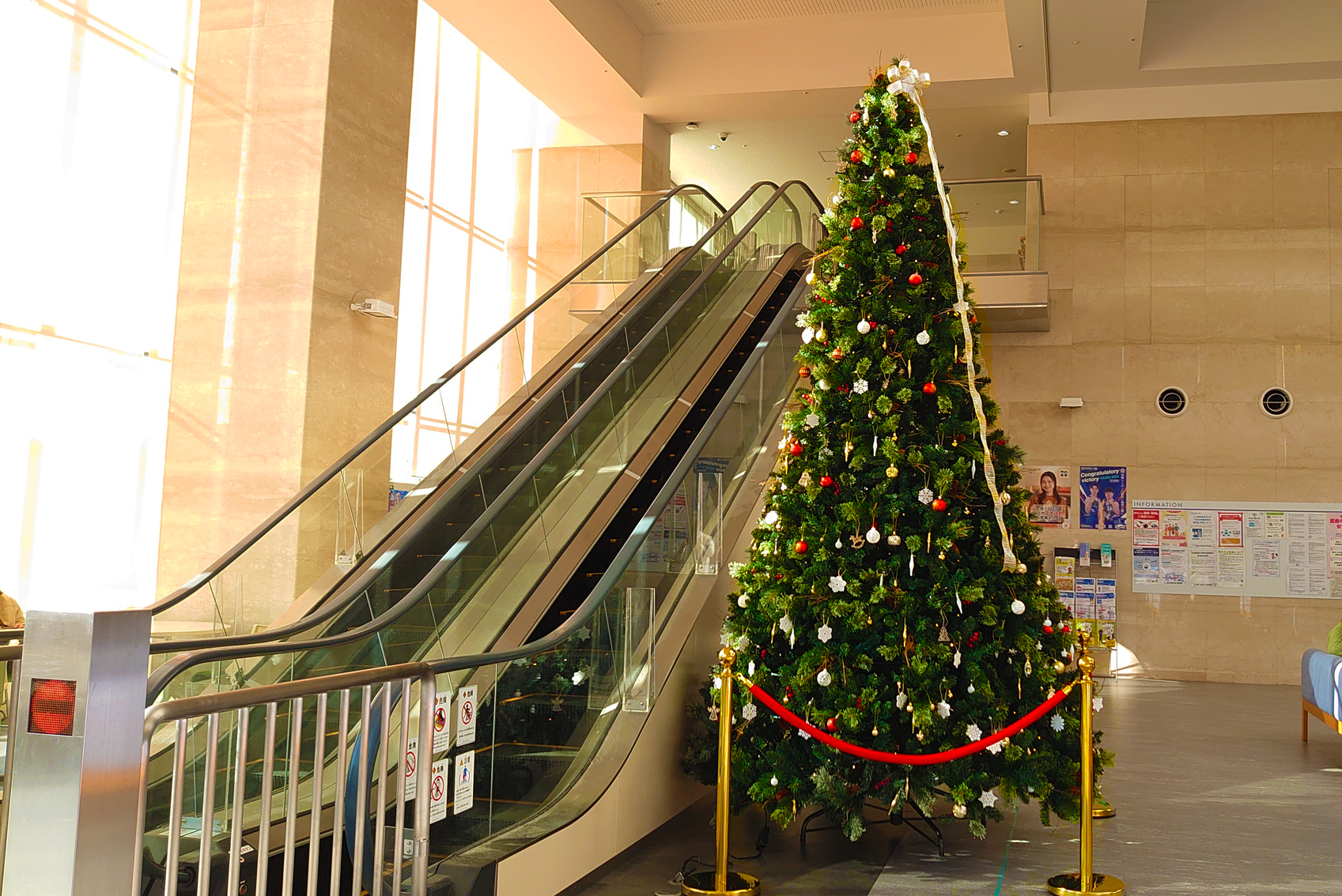 病院クリスマスツリー